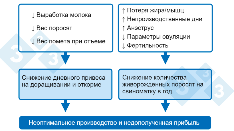 График1. Последствия низкого потребления питательных веществ во время лактации&nbsp;
